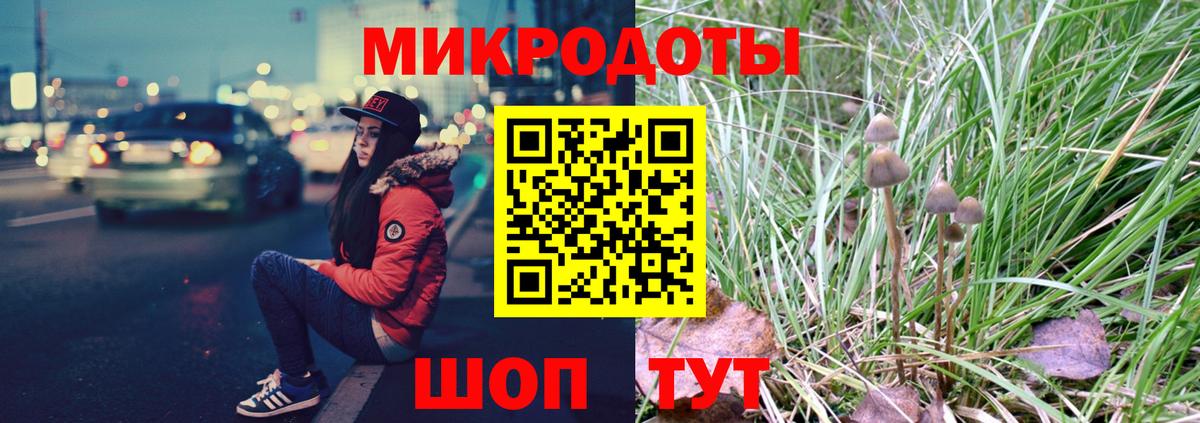 Саяногорск  Псилоцибиновые грибы Psilocybine cubensis  Вход с VPN 